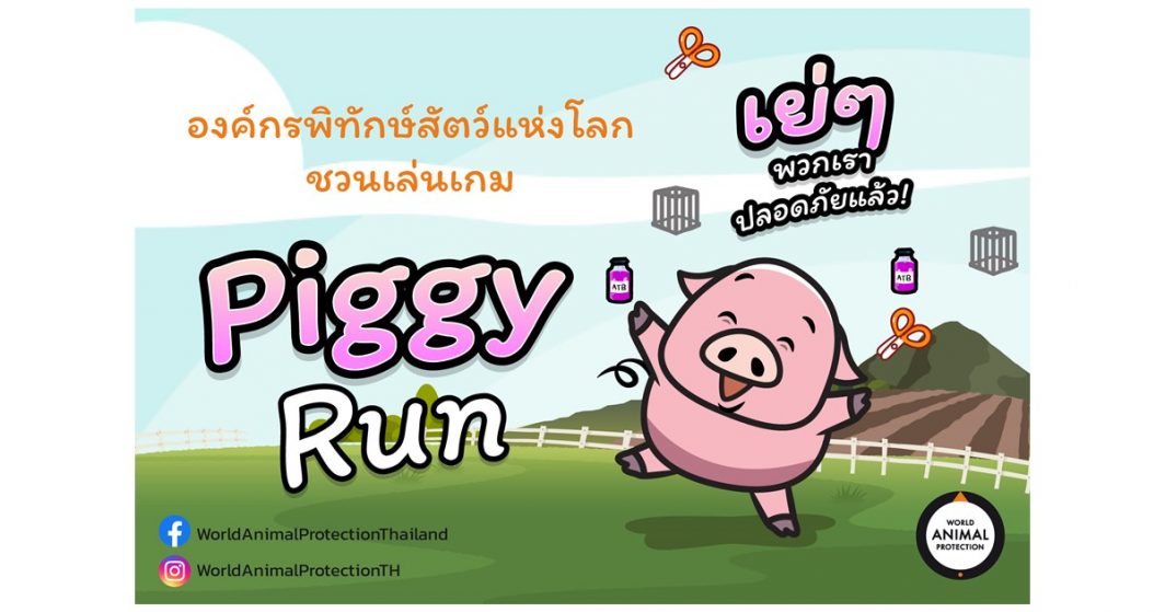 เกม Piggy Run