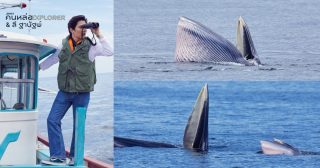 สุดสัปดาห์ คนหล่อ Explorer วาฬบรูด้า อ่าวไทย ลี – ฐานัฐพ์ โล่ห์คุณสมบัติ