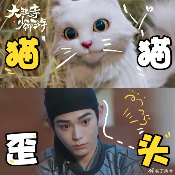 ติงอวี่ซี -  Ding Yuxi - 丁禹兮-  White Cat Legend - ตำนานแมวขาวแห่งศาลต้าหลี่