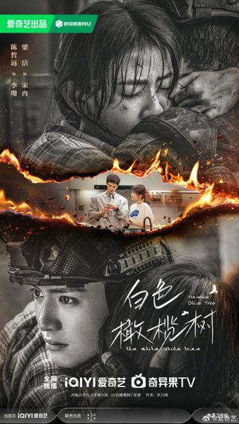 ซีรี่ย์จีนเตรียมฉายล็อตใหม่ของiQIYI  - The White Olive Tree 白色橄榄树