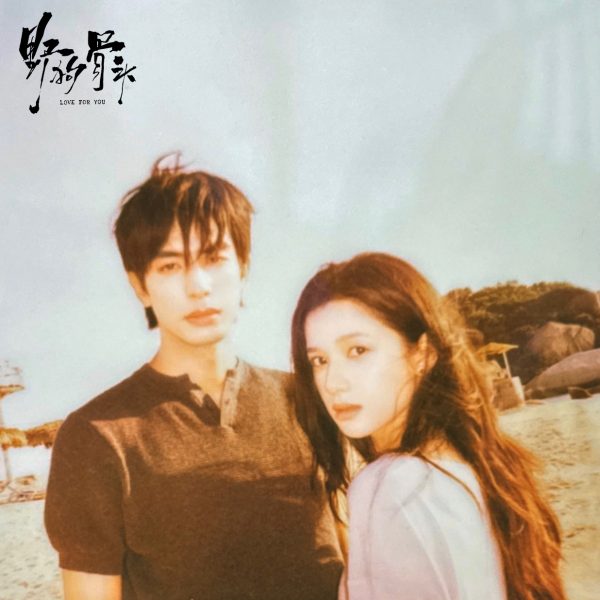 Love For You - 野狗骨头- ซ่งเวยหลง - Song Weilong - 宋威龙- จางจิ้งอี๋ - Zhang Jingyi -张婧仪