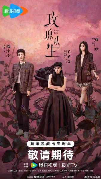 About Love  玫瑰丛生