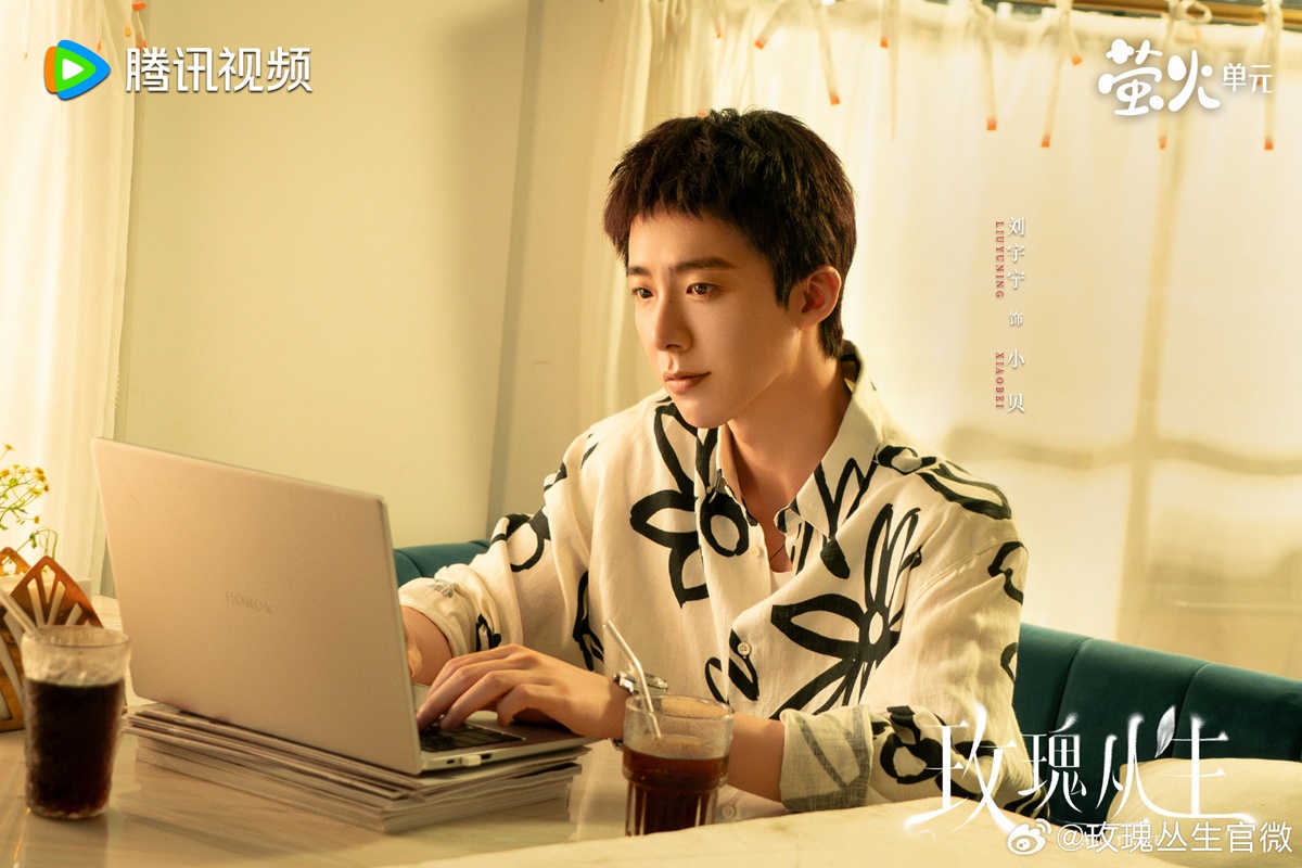 About Love - 玫瑰丛生 - หลิวอวี่หนิง - Liu Yuning -刘宇宁