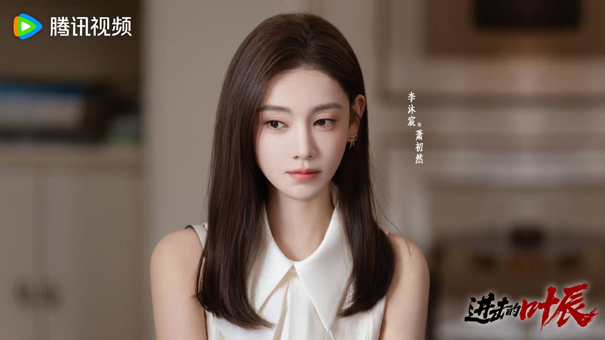 The Hidden Heir Ye Chen - 进击的叶辰